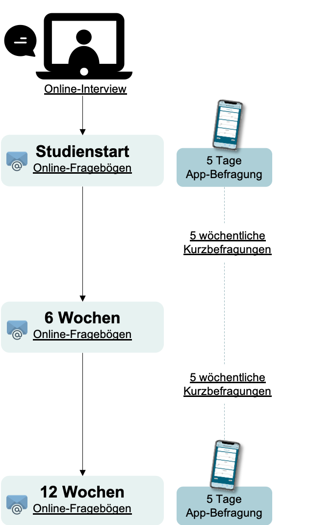 Studienablauf.png